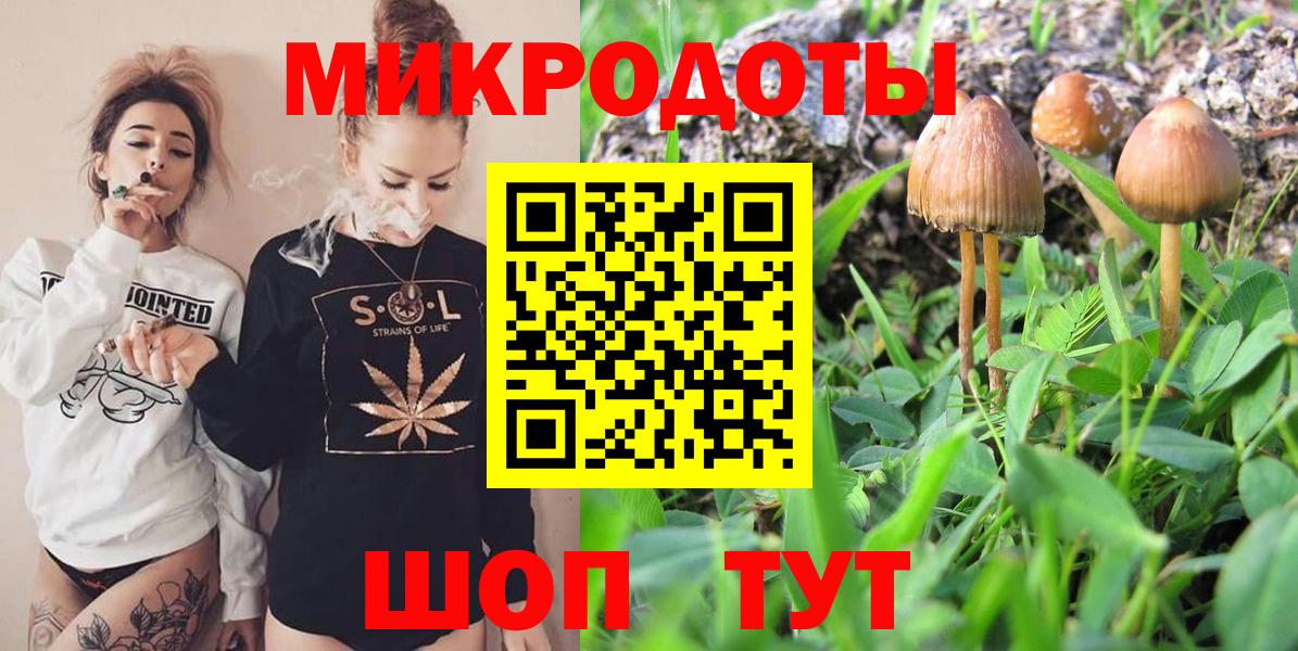 Галлюциногенные грибы Psilocybe  Ступино 