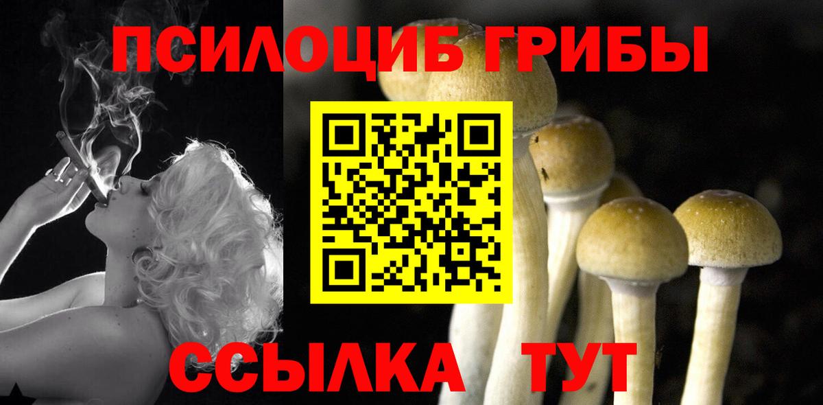 Псилоцибиновые грибы ЛСД Ступино